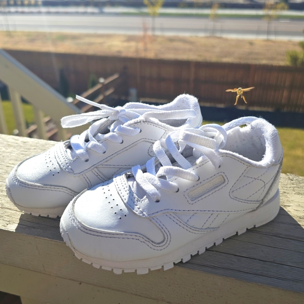 Reebok Classics toddler size 8 EUC